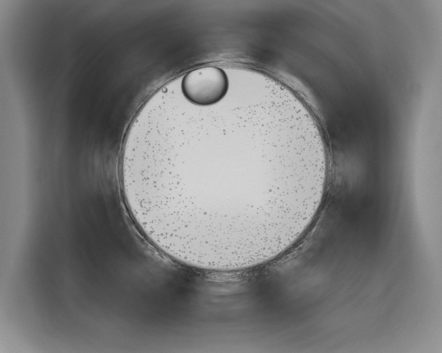 X0000116831338200912181046