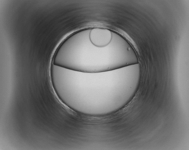 X0000116831339200912181046