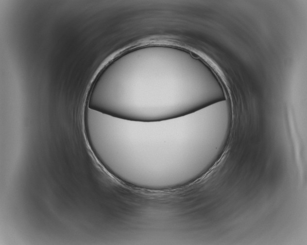 X0000116831341200912181047