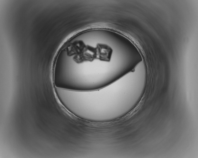 X0000116831342200912181047