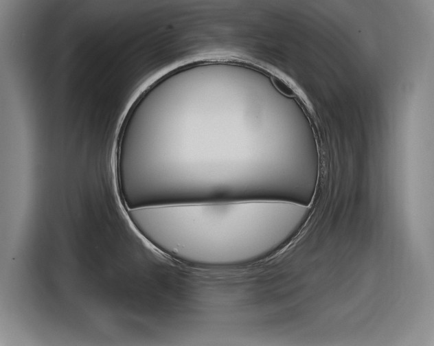 X0000116831343200912181047