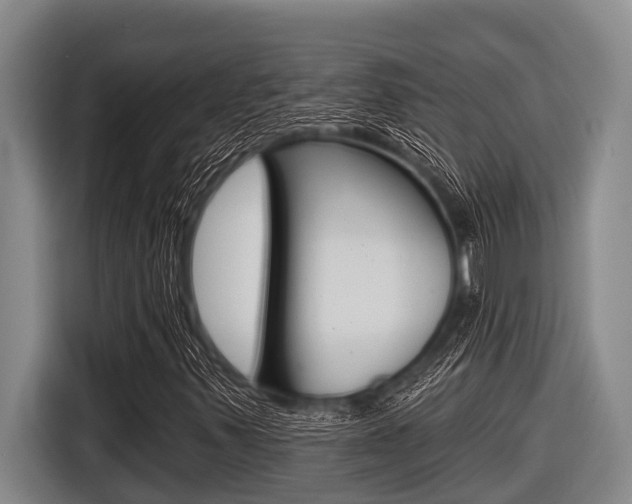 X0000116831347200912181046