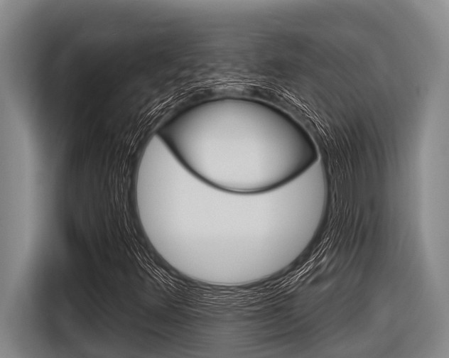 X0000116831348200912181046