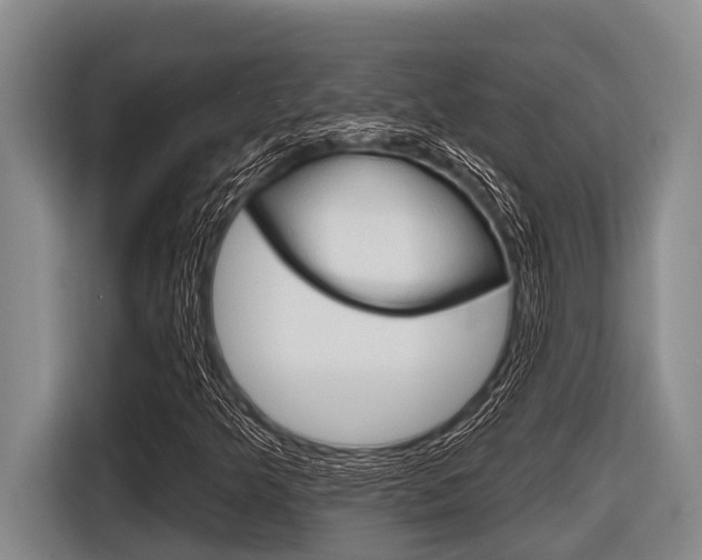 X0000116831349200912181046