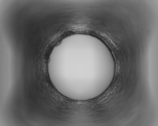 X0000116831350200912181046