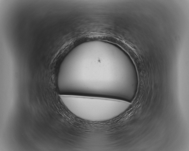 X0000116831351200912181046