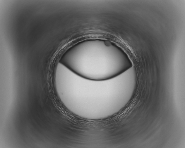 X0000116831352200912181046