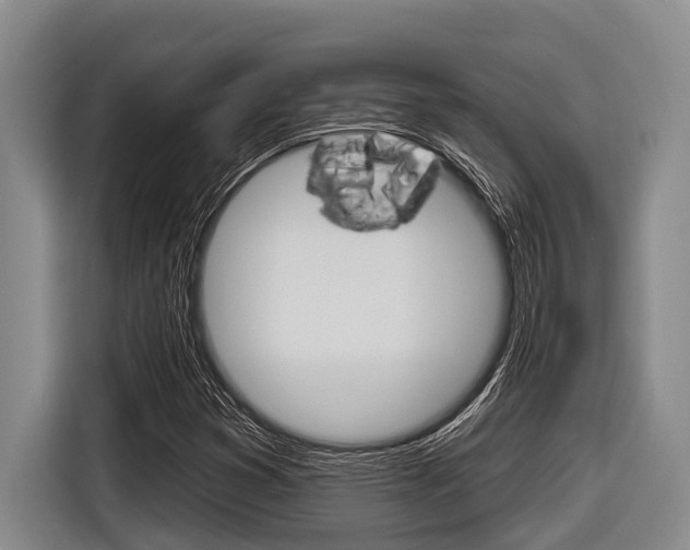 X0000116831353200912181046