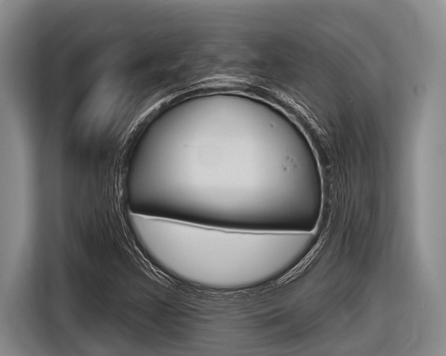X0000116831355200912181046
