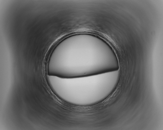 X0000116831356200912181046
