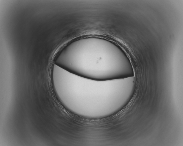 X0000116831359200912181046