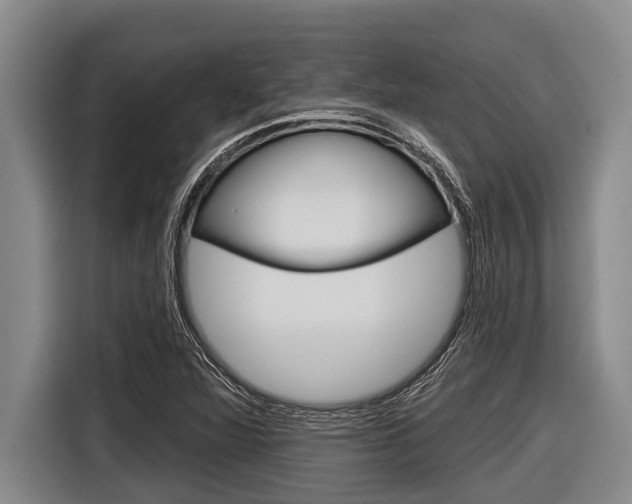 X0000116831360200912181046