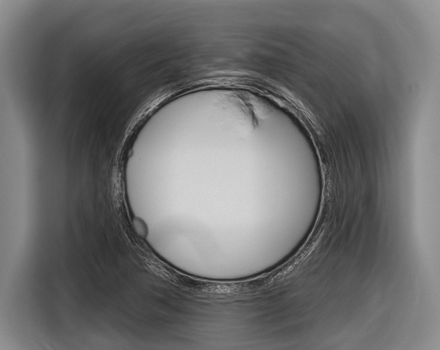 X0000116831362200912181046