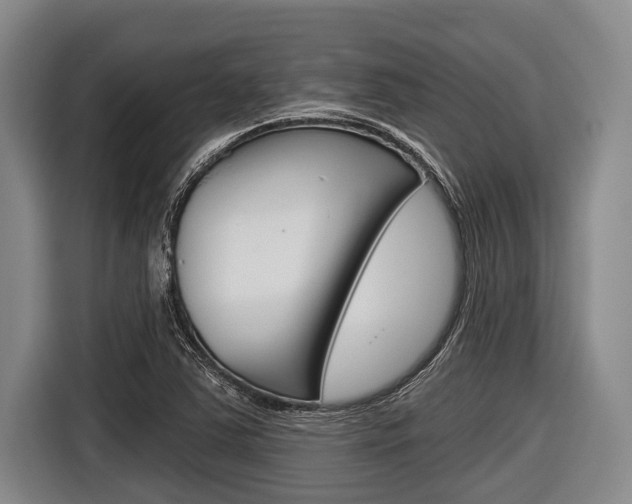X0000116831363200912181046