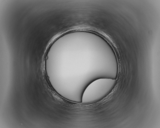 X0000116831366200912181046