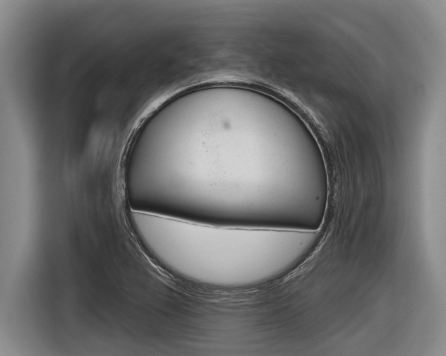 X0000116831367200912181046