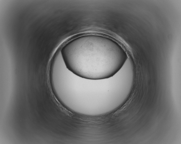 X0000116831368200912181046