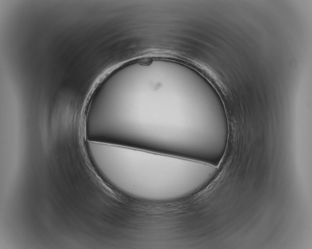 X0000116831371200912181046