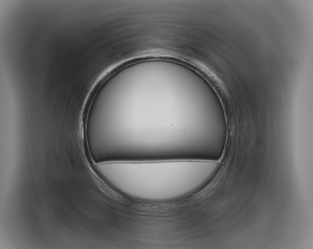 X0000116831372200912181046