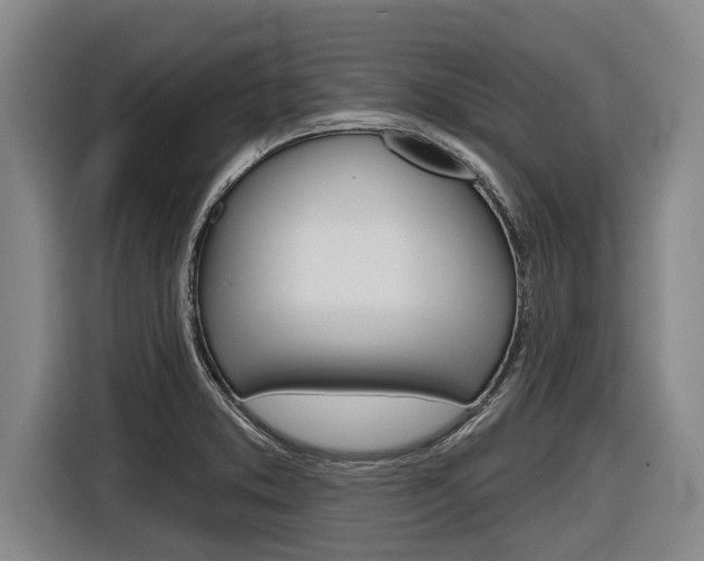 X0000116831373200912181046