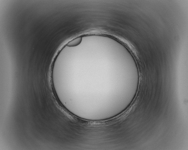 X0000116831374200912181046