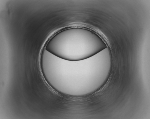 X0000116831376200912181046