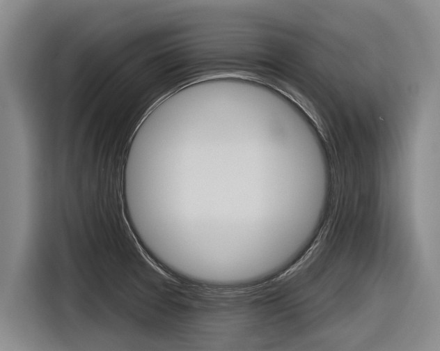 X0000116831377200912181046