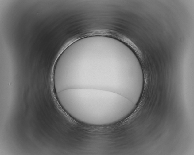 X0000116831378200912181046