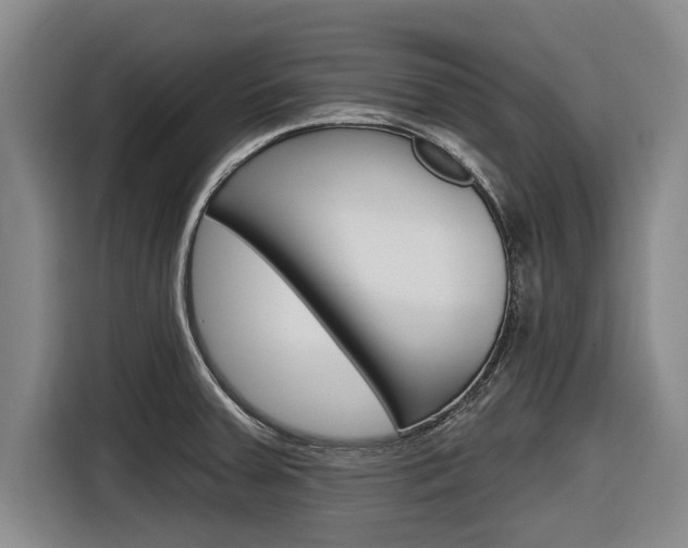 X0000116831379200912181045