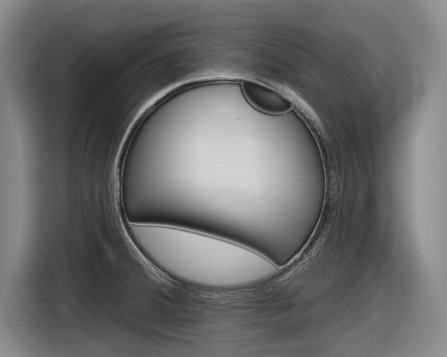 X0000116831380200912181045