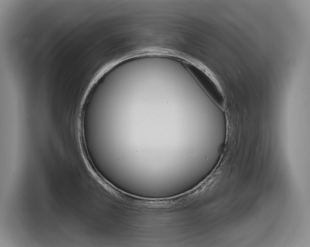 X0000116831381200912181045