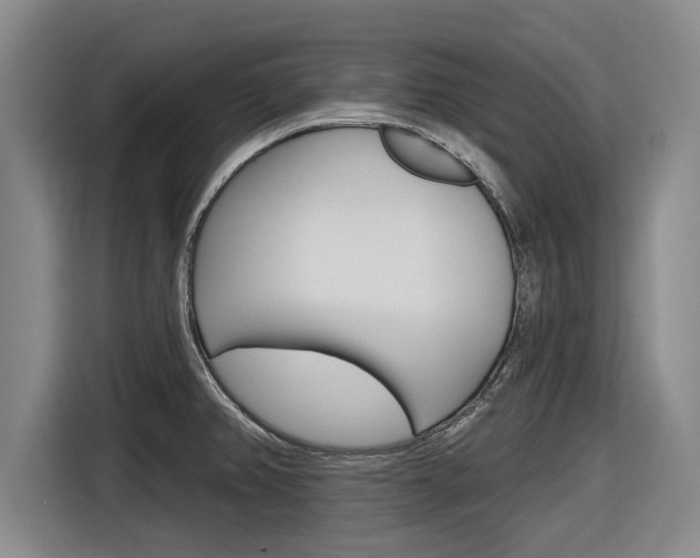 X0000116831382200912181045