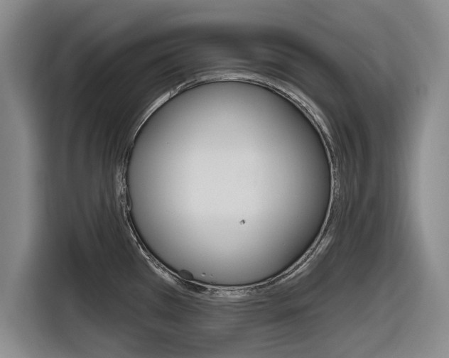 X0000116831385200912181045