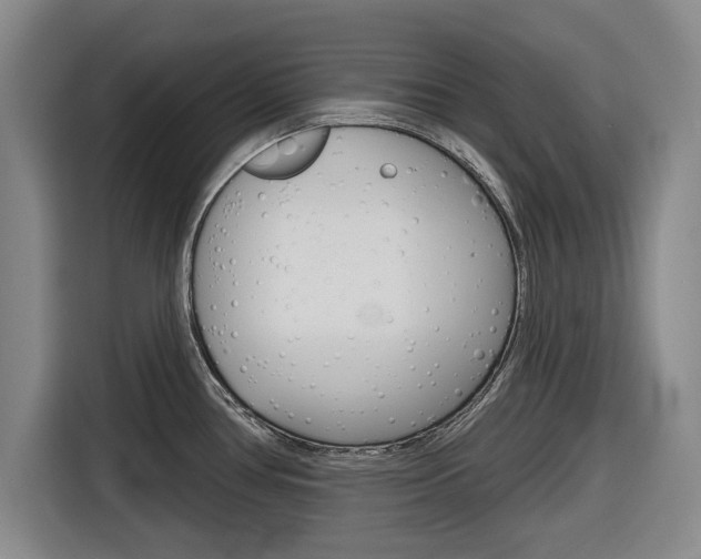 X0000116831386200912181045