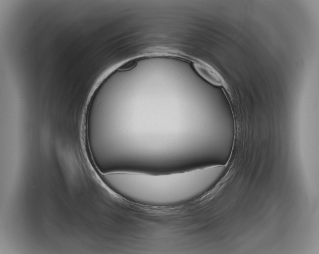 X0000116831387200912181045