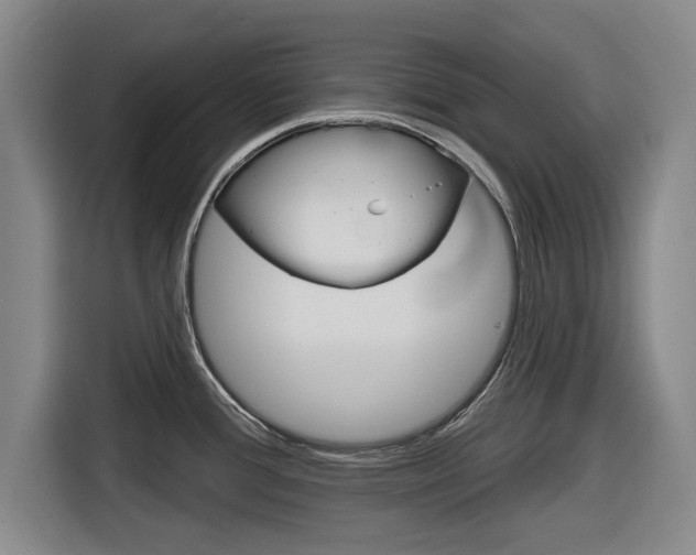 X0000116831388200912181045