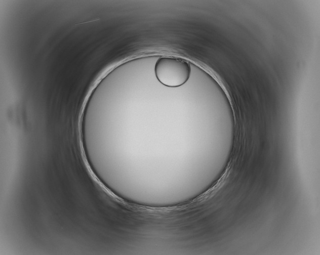 X0000116831389200912181045