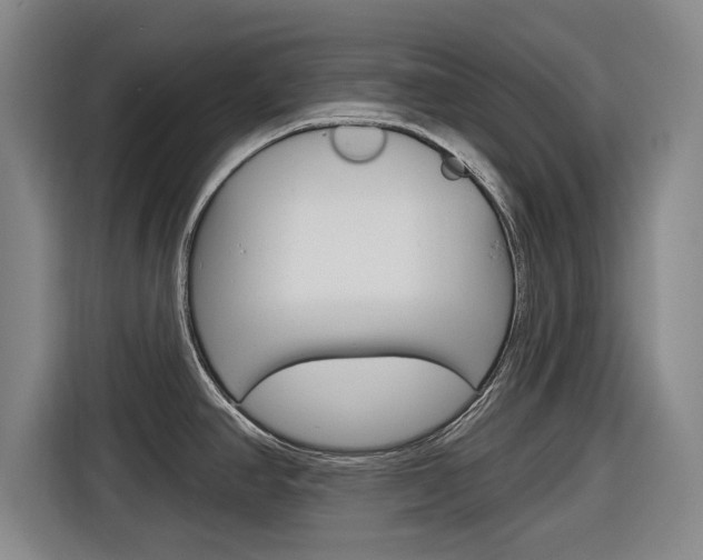X0000116831390200912181045