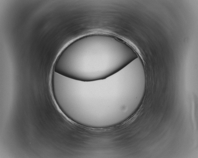 X0000116831391200912181045