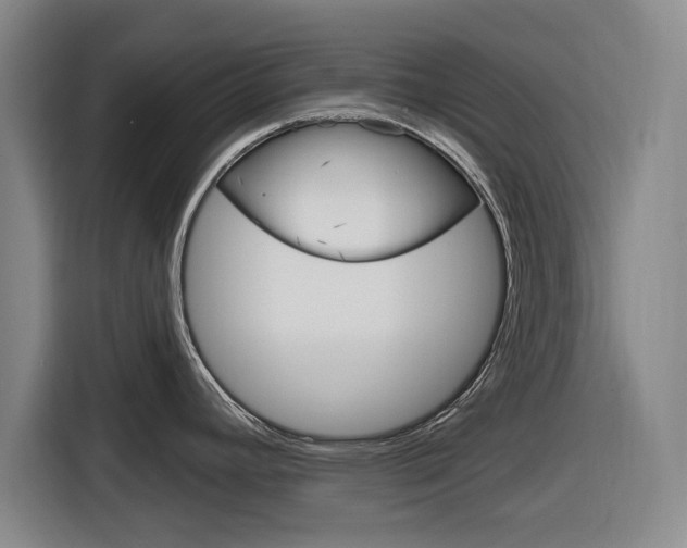 X0000116831392200912181045