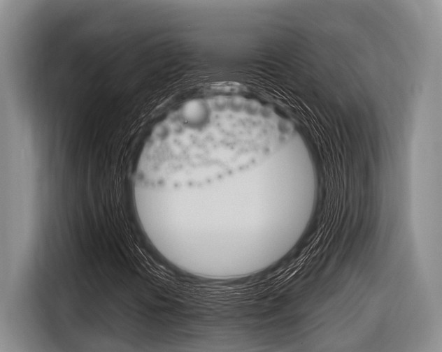 X0000116831394200912181045
