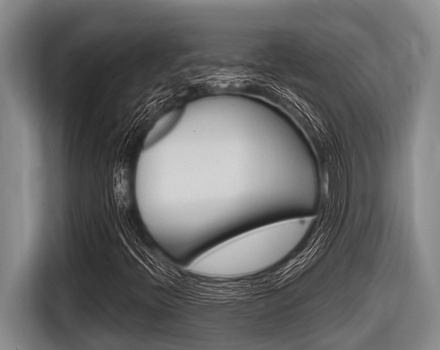 X0000116831396200912181045