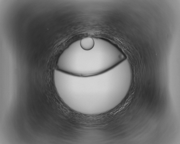X0000116831398200912181045