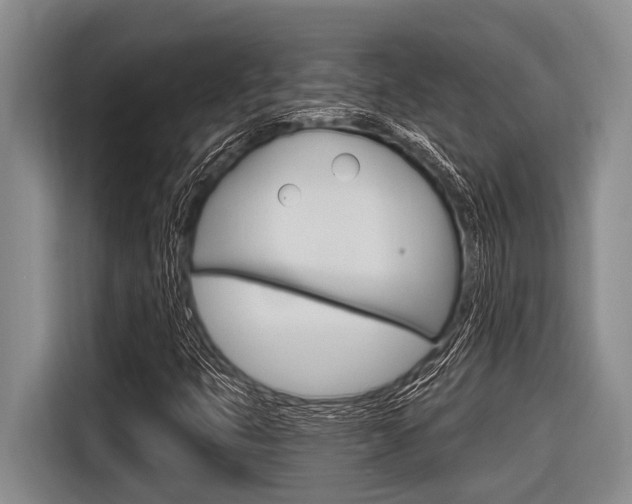 X0000116831399200912181045