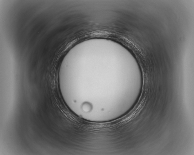 X0000116831401200912181045
