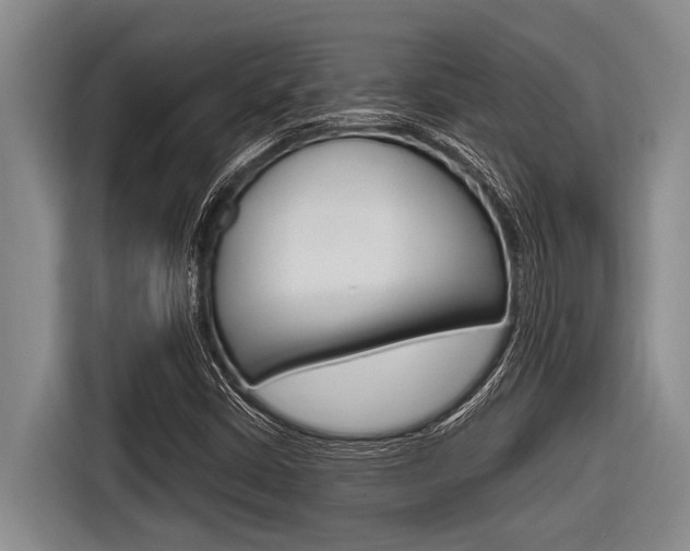 X0000116831402200912181045