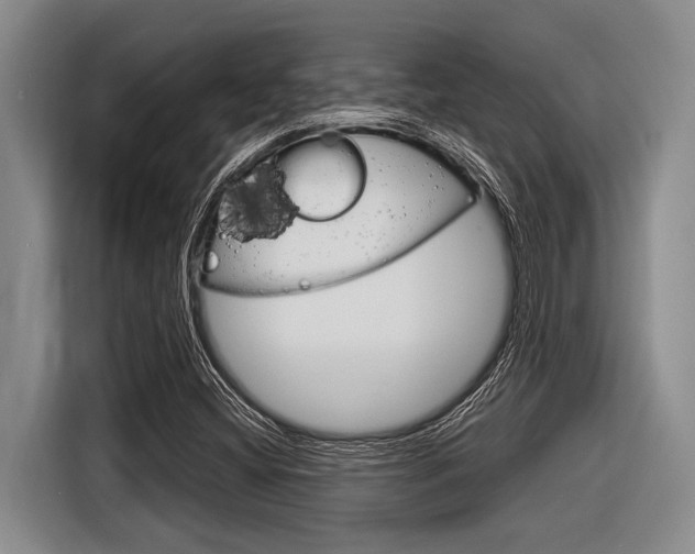 X0000116831404200912181045