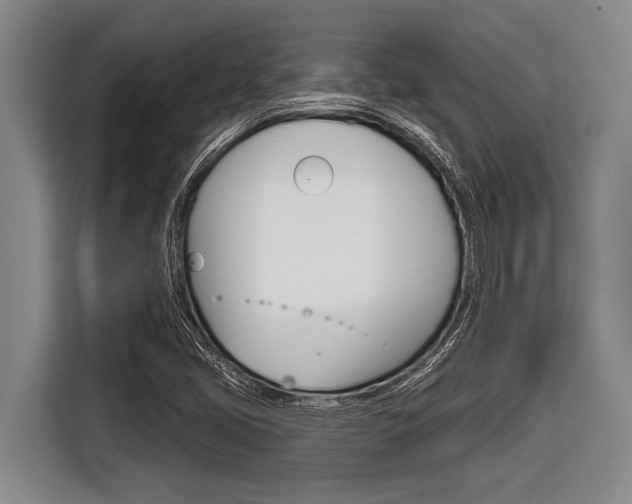 X0000116831405200912181045