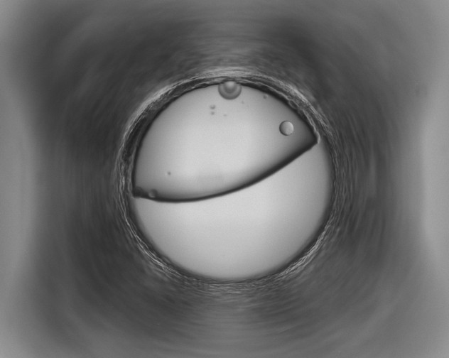 X0000116831406200912181045
