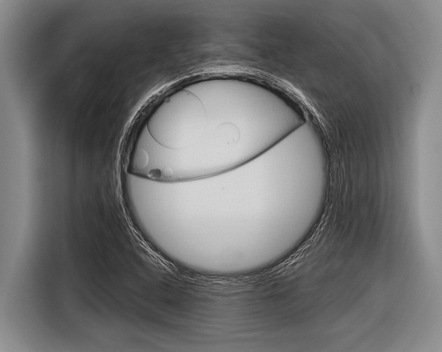 X0000116831408200912181045